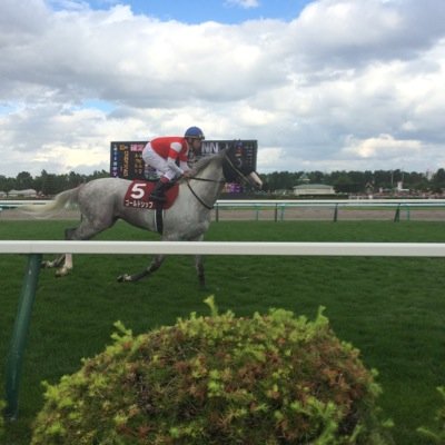 競馬と野球とプロレスが好きな大学生です。好きな馬はシンボリルドルフ。好きな野球チームは日ハム。好きな現役プロレスラーは真壁刀義さんです。元もつけると小橋建太さんです。ウマ娘もやってます♪