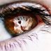 Mara Lu resiste (@lulumay74) Twitter profile photo