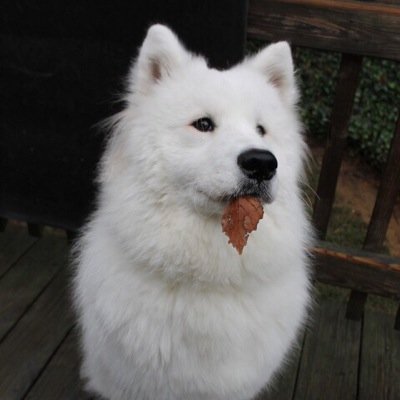 brokkninside's profile picture. Never judge a book by its cover