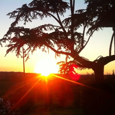 juuullia_'s profile picture. 