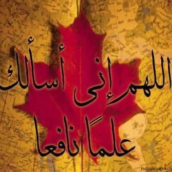 Islbooks's profile picture. Recommended Readings from Islamic Literature |  #IslamicBooks | Islamic e-Books | Q & A About #Islam | Motivational Stuff From The Holy #Quran & Sunnah