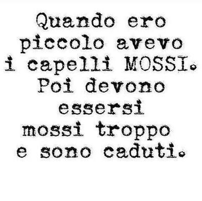 DeDedato's profile picture. 