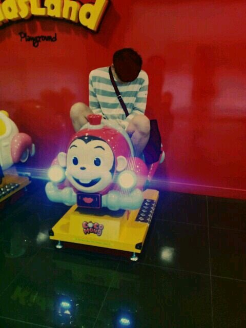 foodwastee's profile picture. Was it a cat I saw