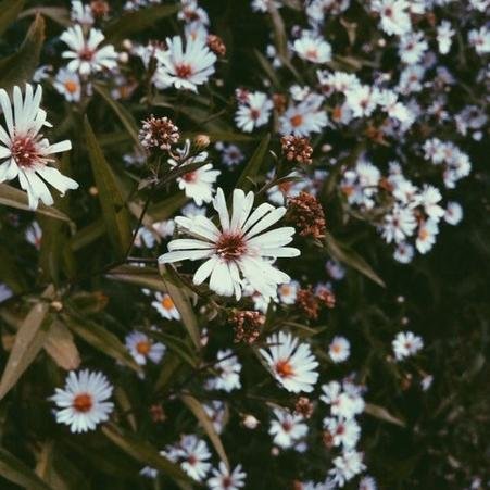Где реальность выпущена на волю из книг.
Где леса пахнут хвоей.
Где мятное море.
Где звездное небо.