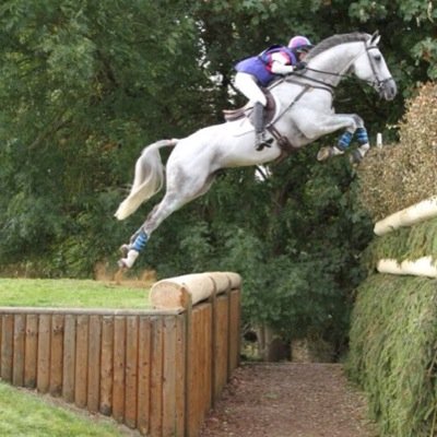 Professional Equestrian focusing on Eventing and Dressage.