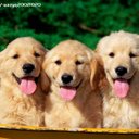 Anthony Lu - @luxingchaode - Twitter