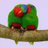 KOURTNEYab114's profile image