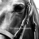 Catherine Hay - @chequinephotos - Twitter