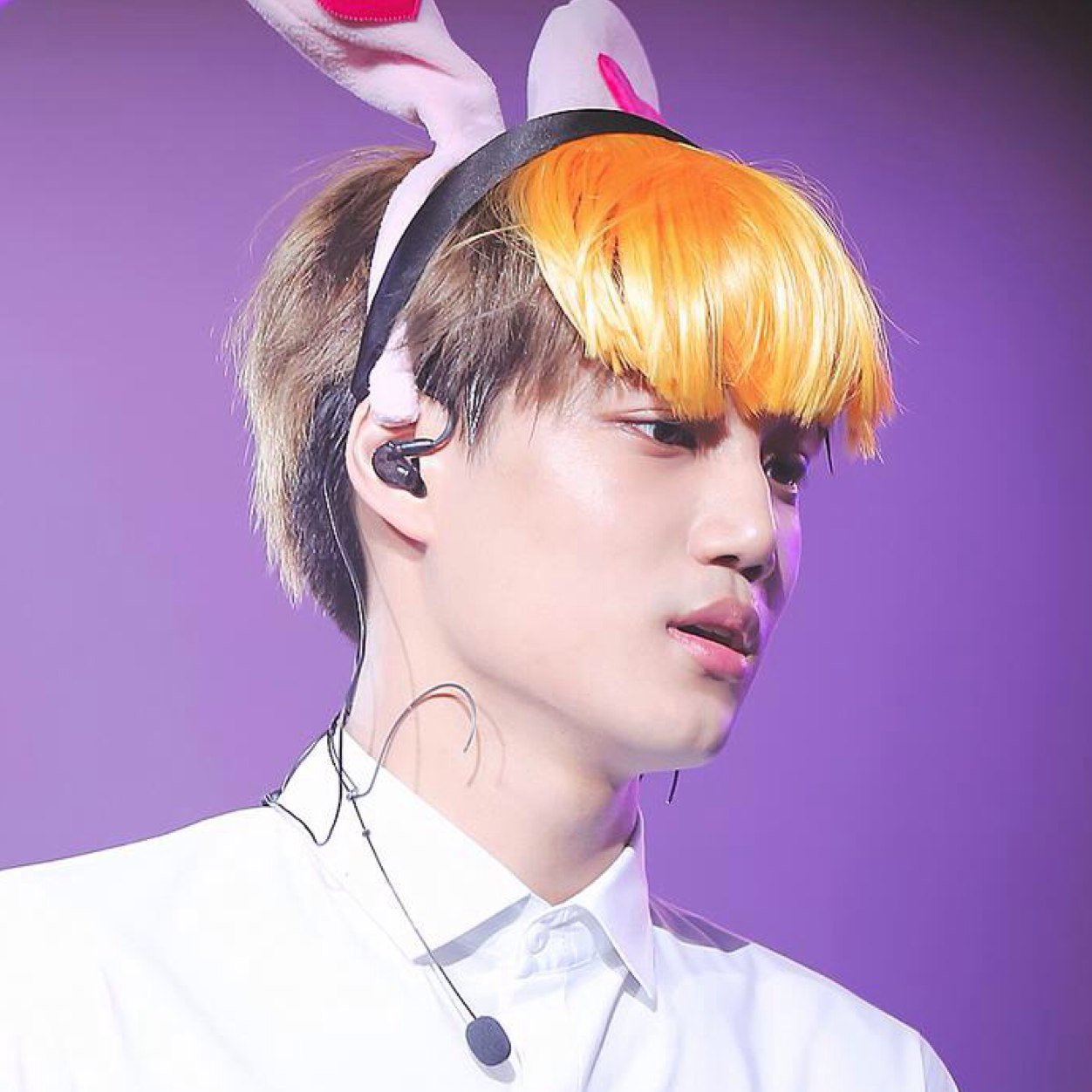 bukan fans jajang