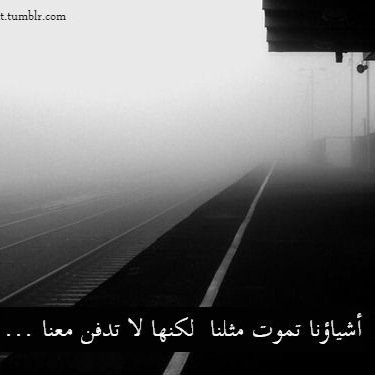 لمّ أجھل الحَقيقه يوماً ولگني اٌمآرس العمىّ بِاحترافّ گيّ أعِيش حياتي بمزآجي.. (( بدون خاص )) واللي يجي للسوالف الغي متابعته - ( تحذفني يحذفك برنامج ) ..