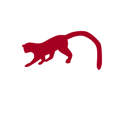 Olingo_'s profile picture. Konsulter och utbildare inom ITSM och ITIL