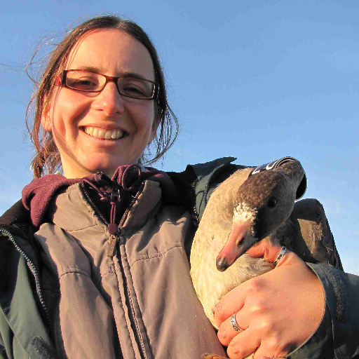 andreakoelzsch's profile picture. 