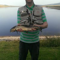 Orb (@bigstef1) 's Twitter Profile