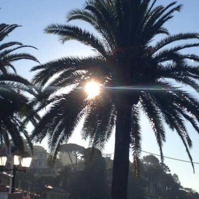 acultberlin's profile picture. Corsi di lingua e cultura italiana per stranieri provenienti da ogni angolo del mondo! santa Margherita Ligure (Genova) Ass.culturale.berlin@gmail.com