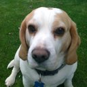 mickey west - @mickey_west - Twitter