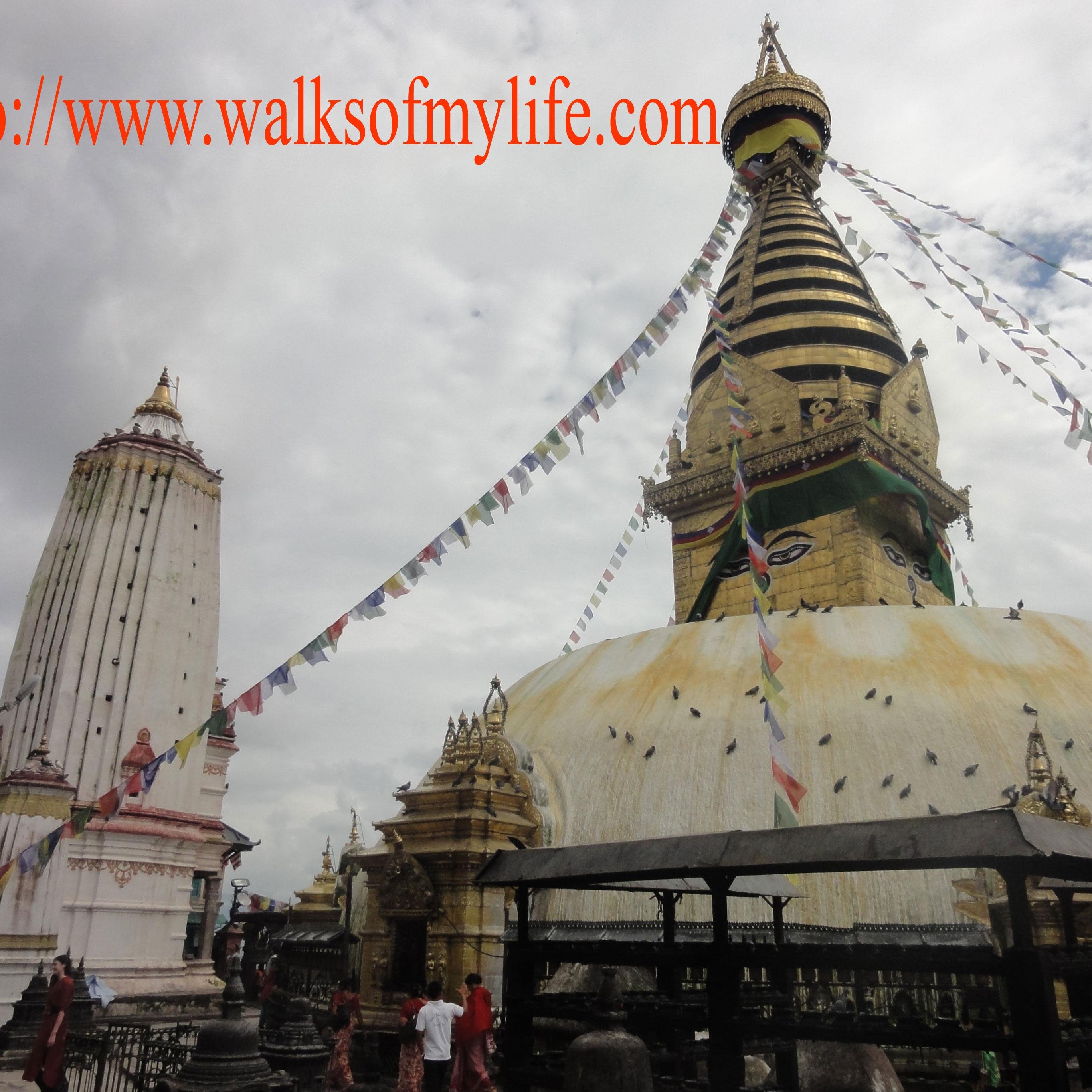This blog contains information about walks of my life here in Kathmandu, Nepal.