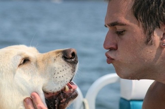 DaRosser's profile picture. 