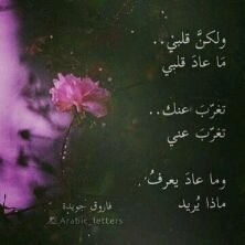 ‏أحبك وراح أظل أحبك...أتمنى أن نلتقي أيضأ ****في****