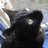 Stimmycat's profile image