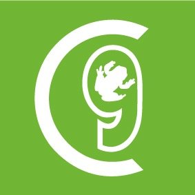 Graphic design, photography, video production