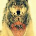 wolf of rome (@wolf_of_roma106) Twitter profile photo