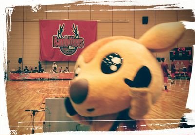 0709No1's profile picture. おっちゃんです。バンビシャス奈良応援してます。頑張れ GO！GO！Bambitious!