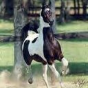 Edith Karlin - @empress1997 - Twitter