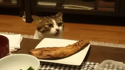 sie