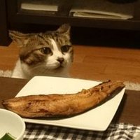 sie (@teashot) 's Twitter Profile