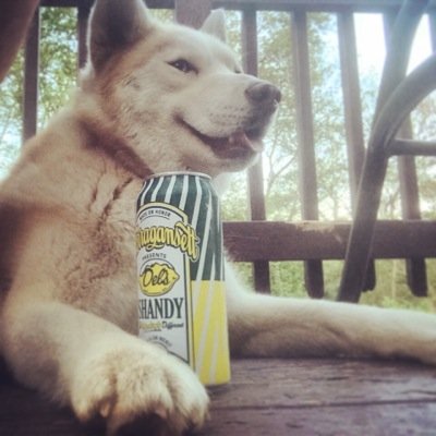 SugKnight16's profile picture. Wheel, Snipe, Party! #Sauce