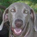 Fran Adler - @AdlerFran - Twitter