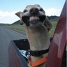 Quetzacoalt91's profile picture. Hello