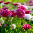 Ahmed (@011007454867800) Twitter