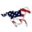 AmerRacehorse's profile image