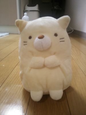 yu_____ji0423's profile picture. 畿央大学理学卒業