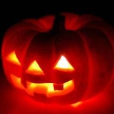 11月3日に ハロウィンイベントを行います！！ 仮装大歓迎！ 年に一回のイベント楽しみましょう。只今女子大生の参加をお待ちしております！