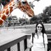 Susan Giles Wantuck (@sgwantuck) Twitter profile photo Susan Giles Wantuck (@sgwantuck) Twitter profile photo