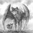 TestingCrypto's profile image