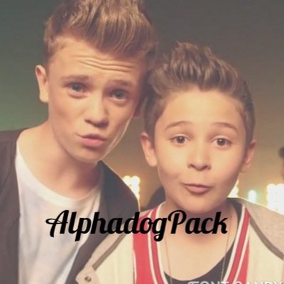 supporting the Alphadog Family overload follows, BAM follows