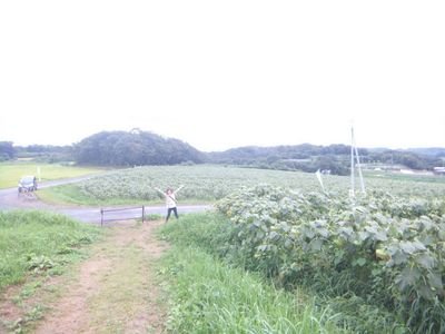 sqlc1's profile picture. 体はちっちゃくても心は広い人間になりたい！(笑)twitterでは素直な気持ちをつぶやいてます！