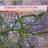 GoodDayTraffic's avatar