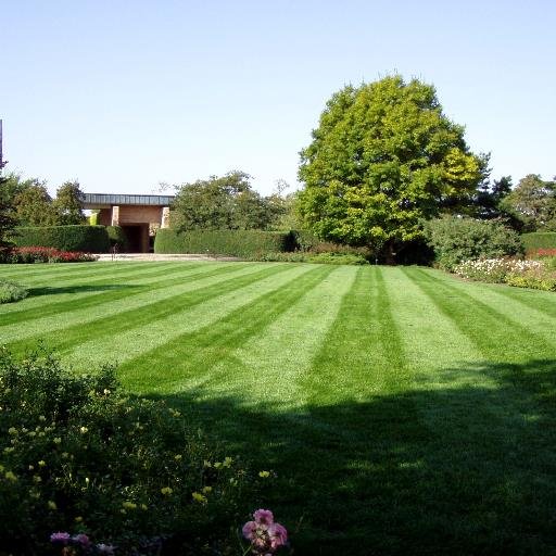 picea83's profile picture. Plant health / Turf Specialist at the Chicago Botanic Garden.