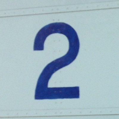 turuboricone's profile picture. 自由