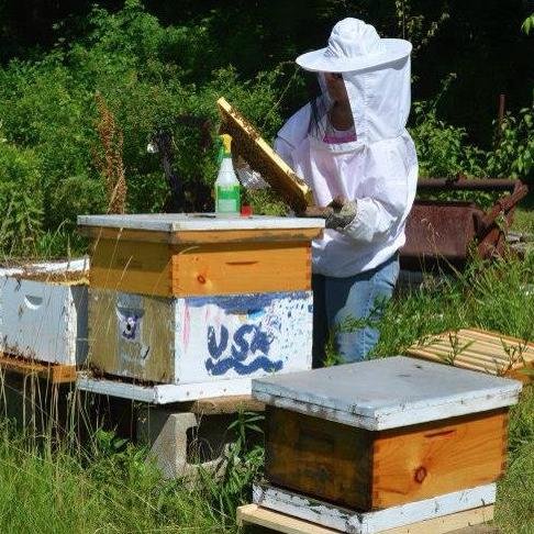 _TheGreenBee's profile picture. 