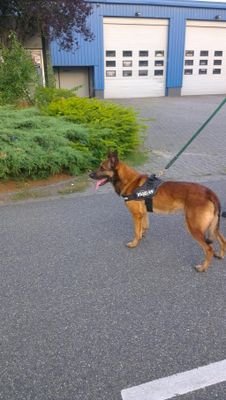 JVVBeveiliging's profile picture. Waakzaam dag en nacht