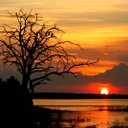 Rex Kelly - @KalahariRex - Twitter