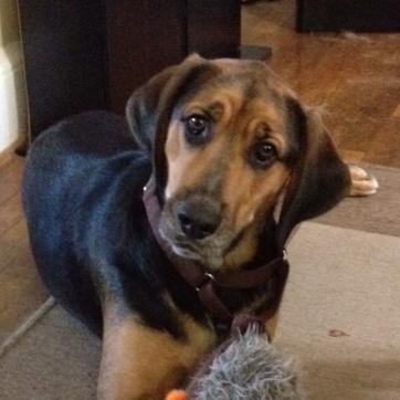 I enjoy my dog, good bourbon, and staffing IT professionals.  I hate social media and irony.