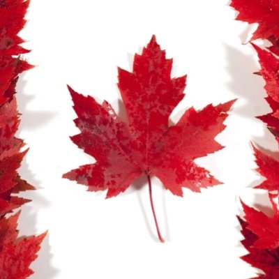 ExploreCanadaEU's profile picture. 