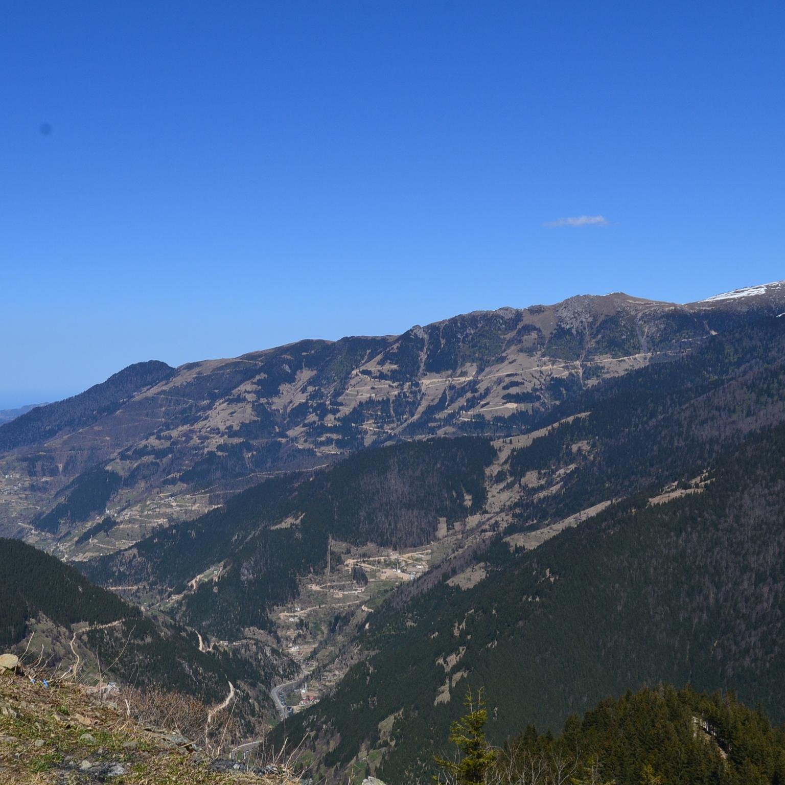 alshreem7's profile picture. دكتوراه في الدراسات الإسلامية -عقيدة- محاضر متعاون سابقًا، رحم الله من ربّياني، وحفظ الله أبنائي.