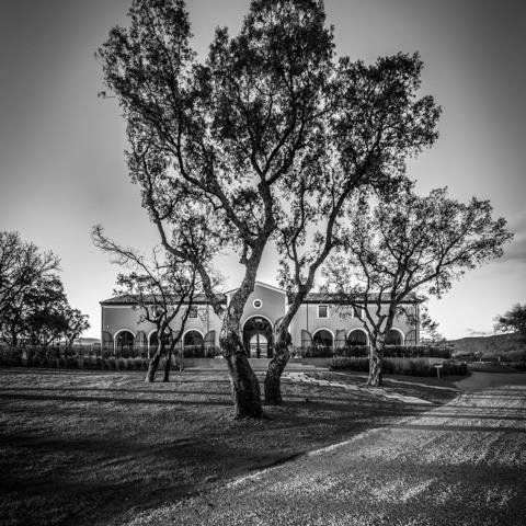 CSMCRUCLASSE's profile picture. Château Saint-Maur Cru Classé